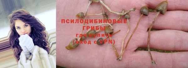 прущий лед Аркадак