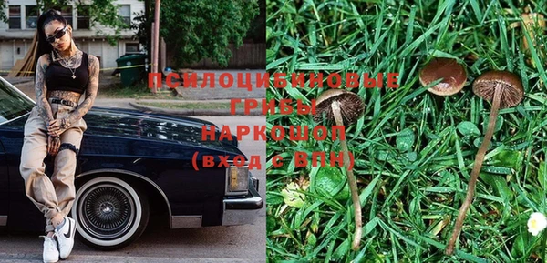 прущий лед Аркадак