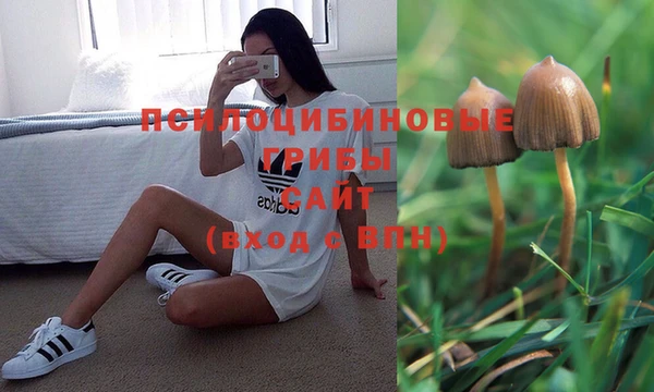 spice Арсеньев