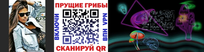 Псилоцибиновые грибы Psilocybe  Купить где  Дмитровск 